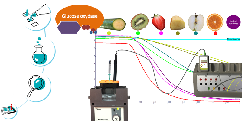 Image représentant la ressource