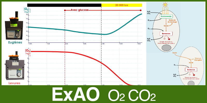 Image représentant la ressource