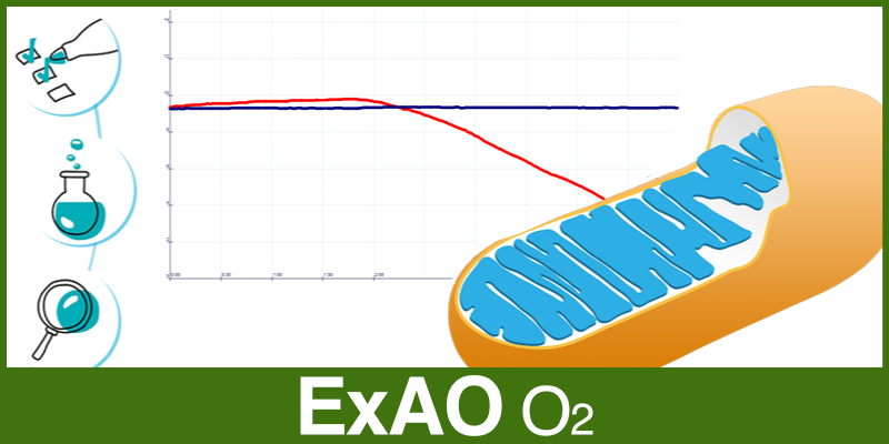 Image représentant la ressource