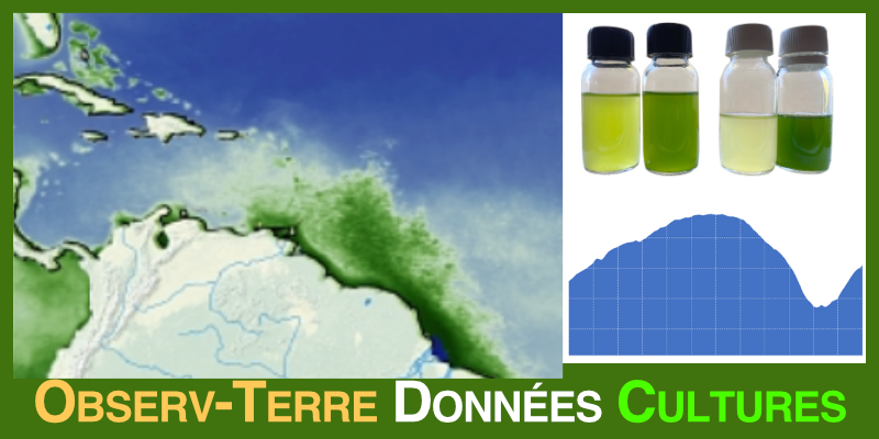 Image représentant la ressource