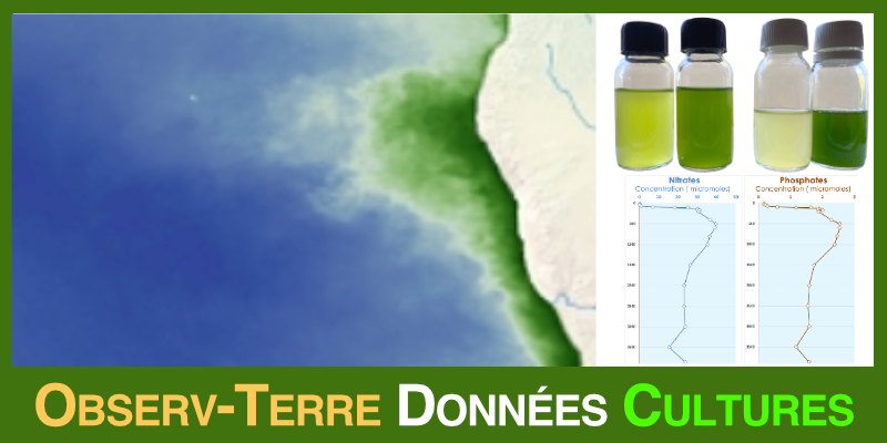 Image représentant la ressource