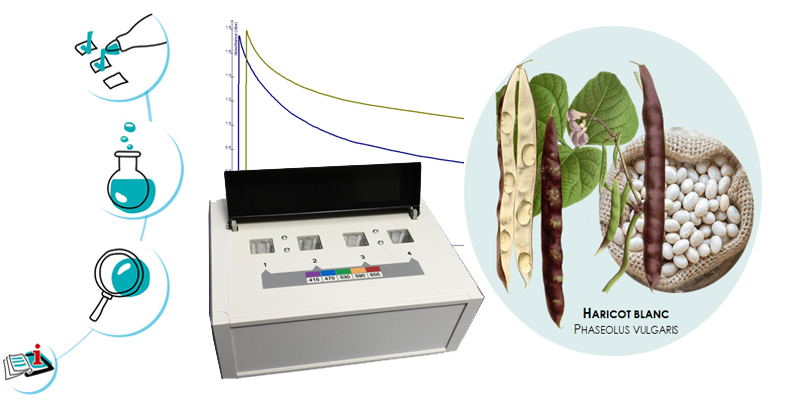 Image représentant la ressource