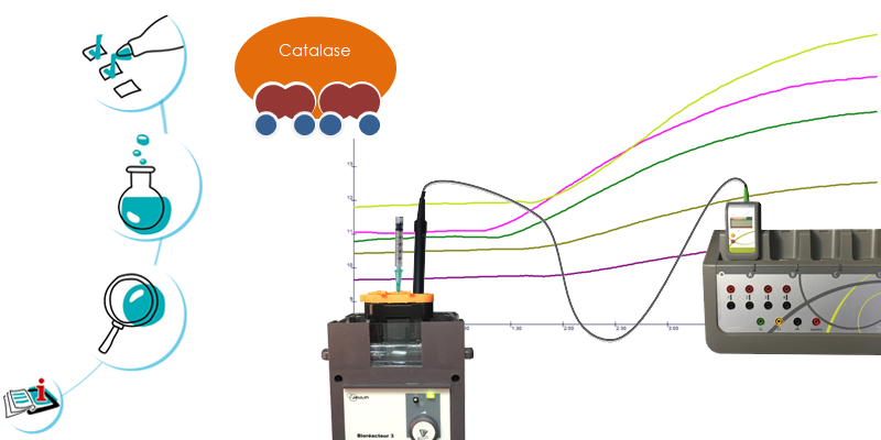 Image représentant la ressource