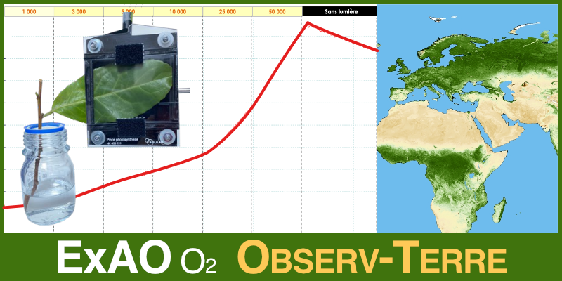 Image représentant la ressource