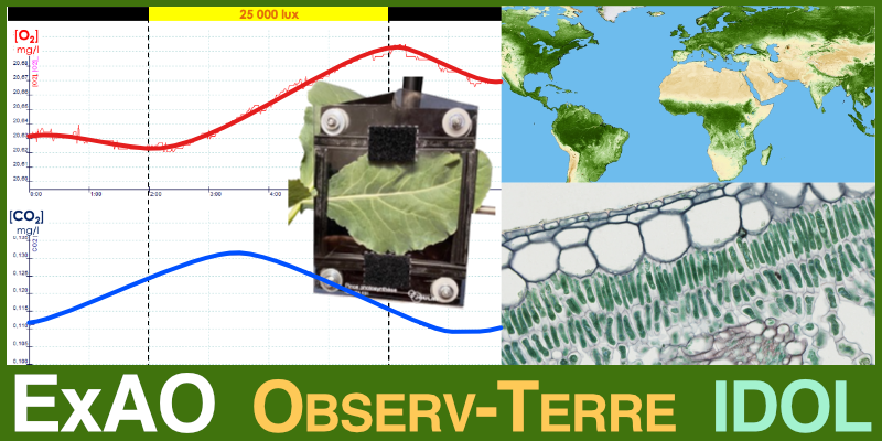 Image représentant la ressource