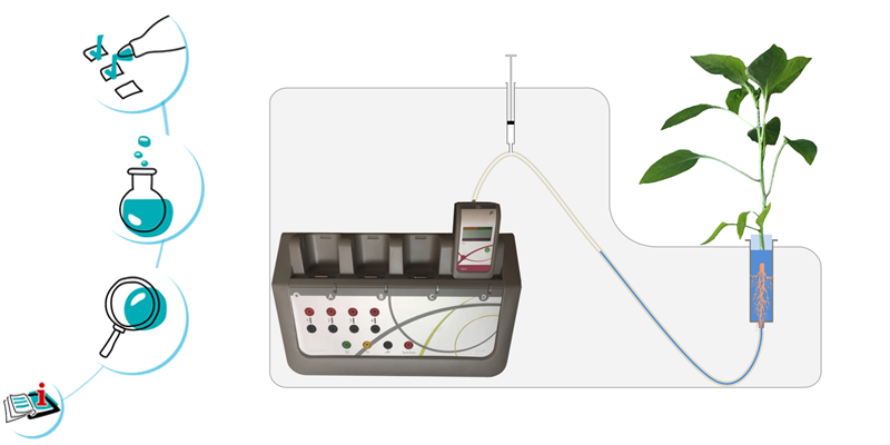 Image représentant la ressource