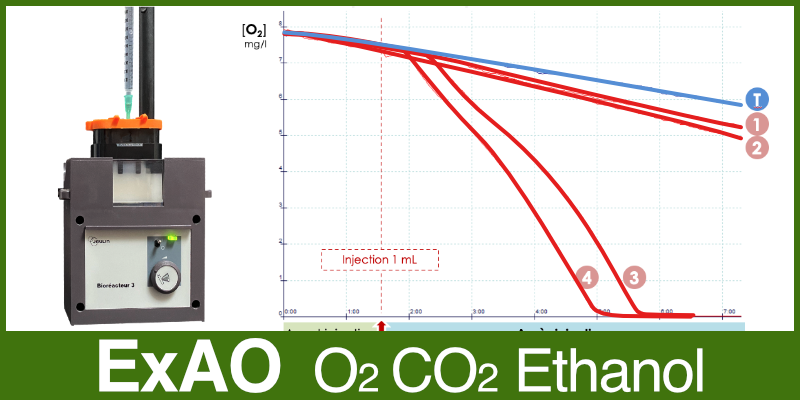 Image représentant la ressource