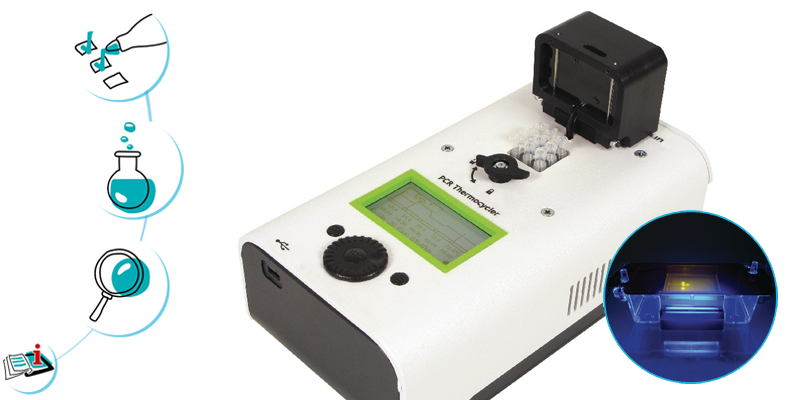 Image représentant la ressource