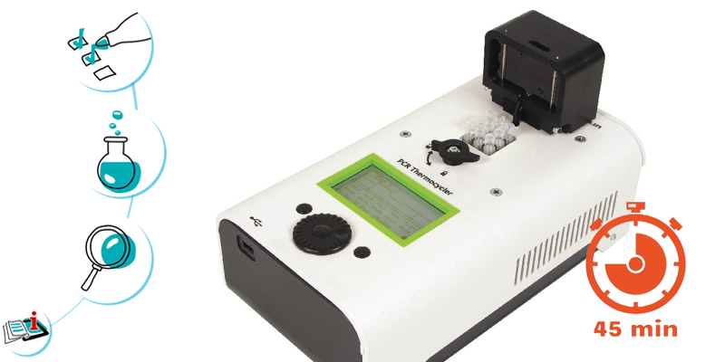 Image représentant la ressource