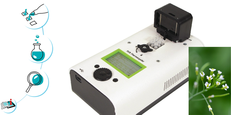 Image représentant la ressource