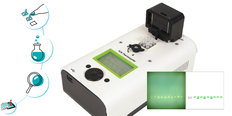 Image représentant la ressource