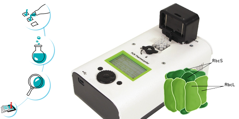 Image représentant la ressource