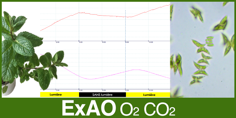 Image représentant la ressource