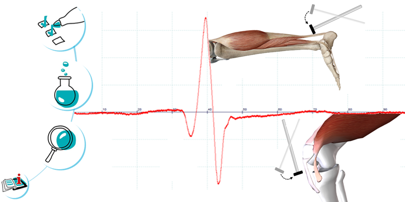 Image représentant la ressource
