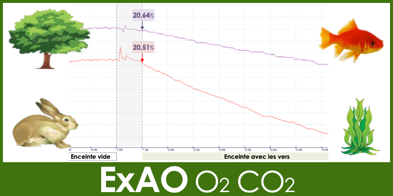 Image représentant la ressource