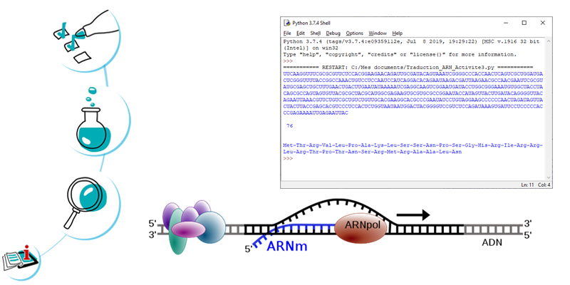 Image représentant la ressource