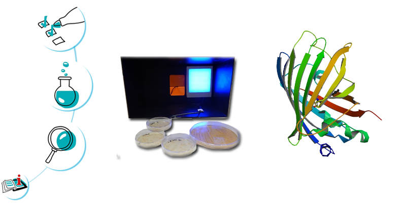 Image représentant la ressource