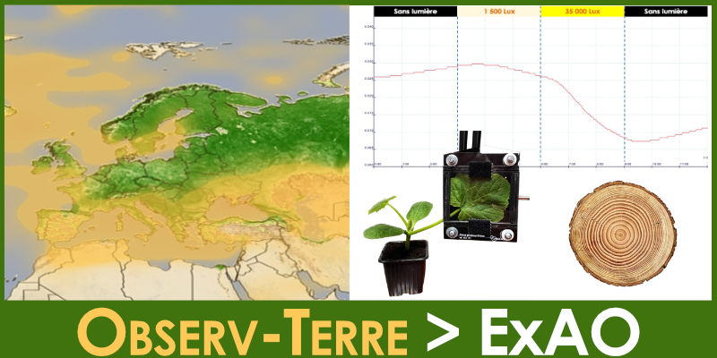 Image représentant la ressource