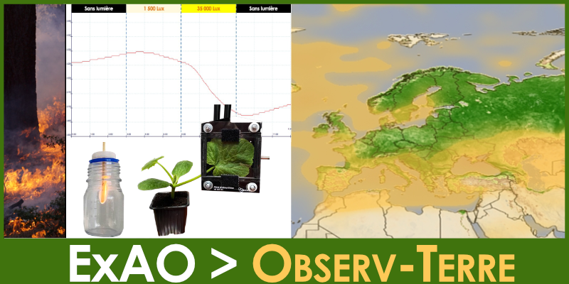 Image représentant la ressource